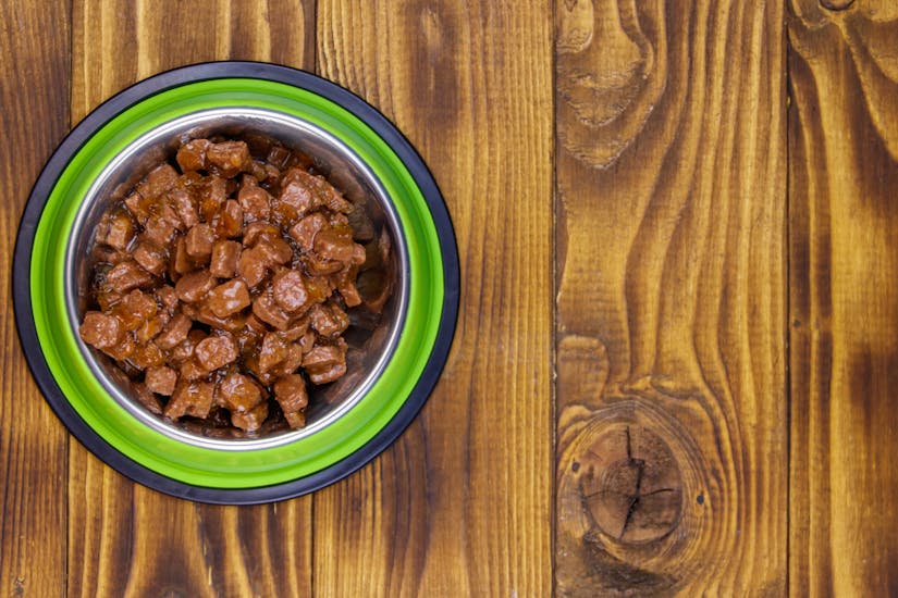 Cassia masthead photo