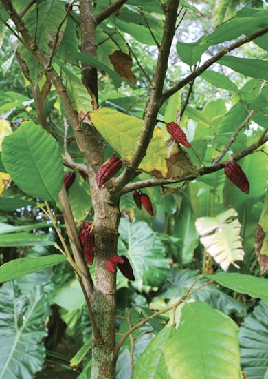 Quality Control masthead photo