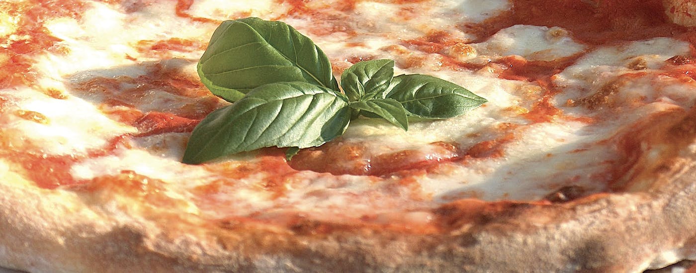 TrueGum<sup>™</sup> Products masthead photo